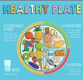 Healthy Plate – balanced diet illustration